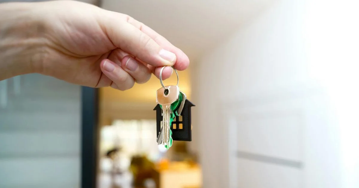 Why Burley Is Perfect for Professionals and Students to Rent